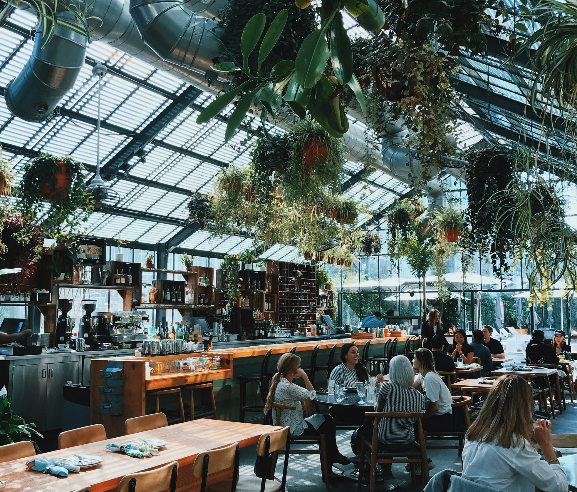Cheap dinner cbd top